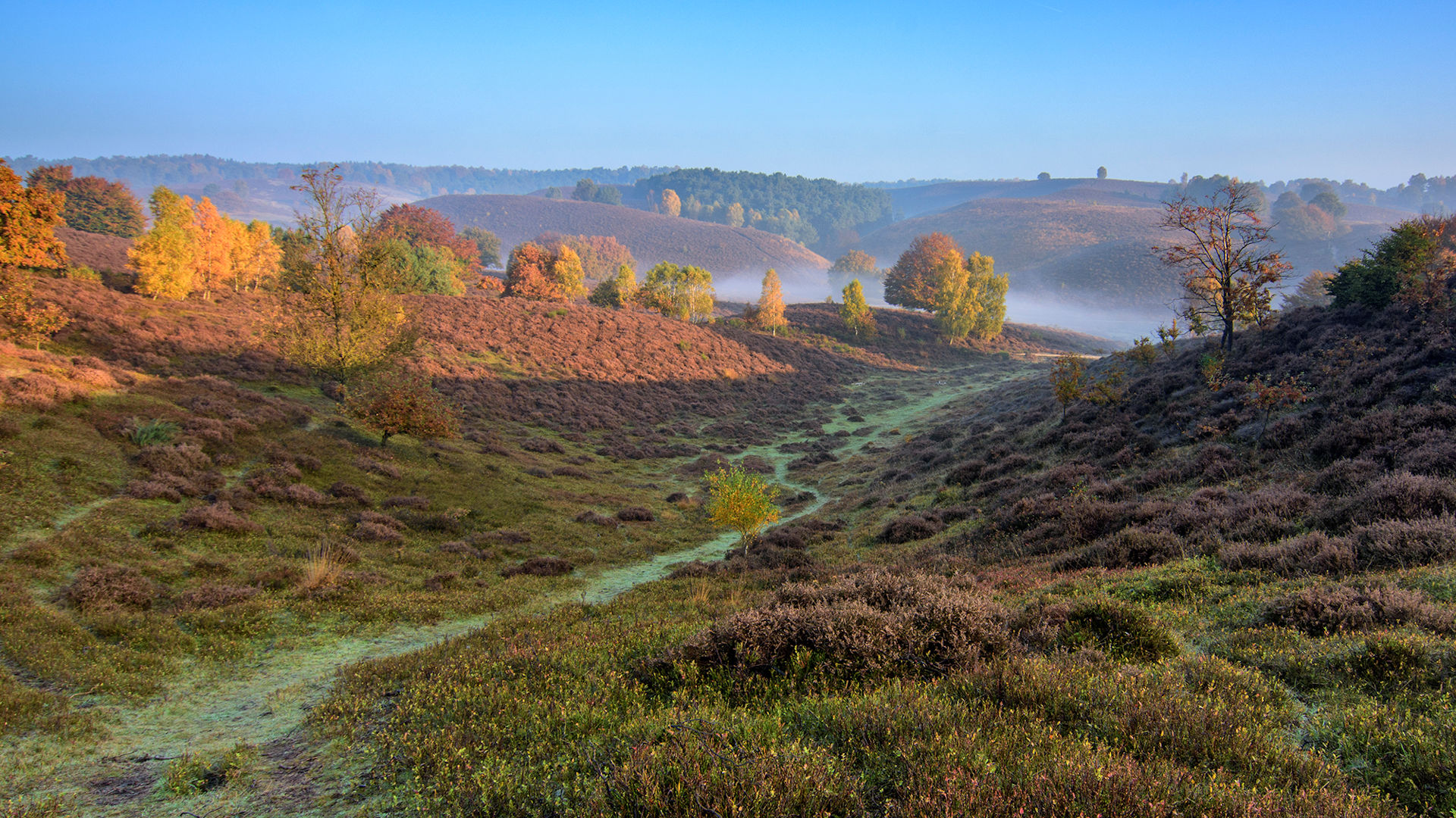 Rondje Posbank