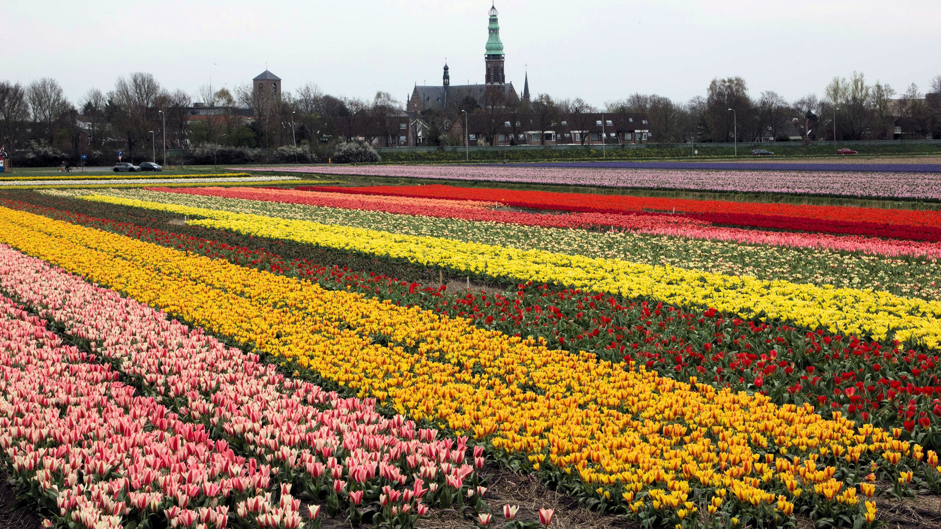 Grensrit Noord Holland