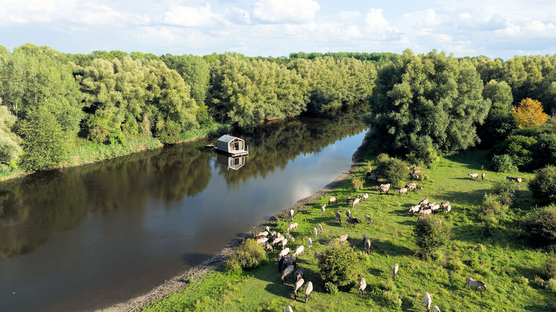 Veluwetocht