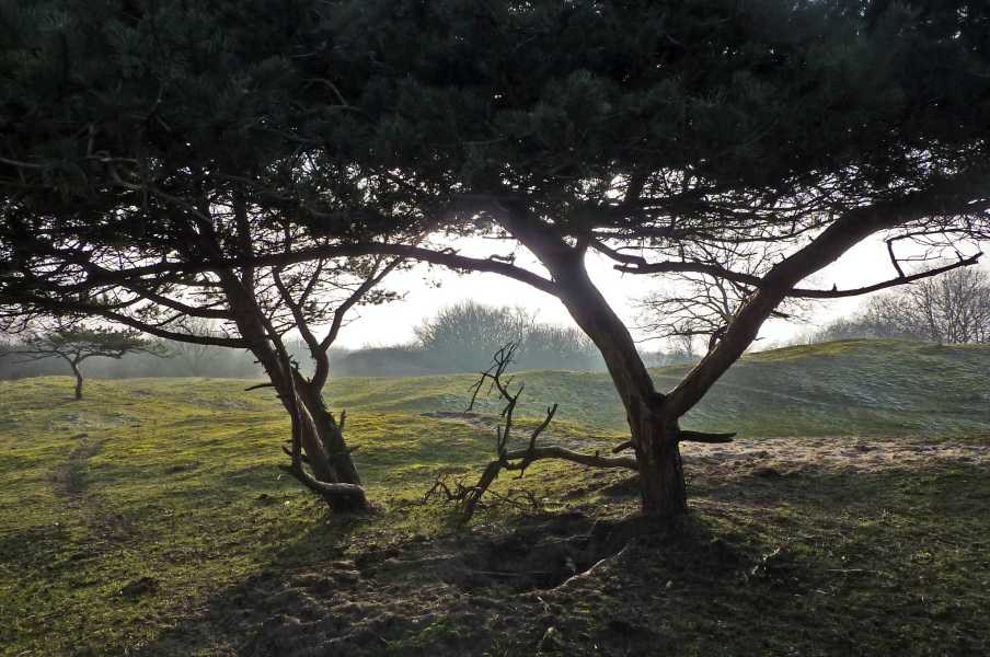 Bergen aan Zee RTC-Hoofddorp