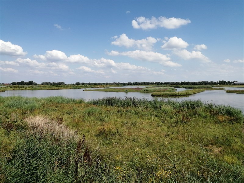 Biesbosch