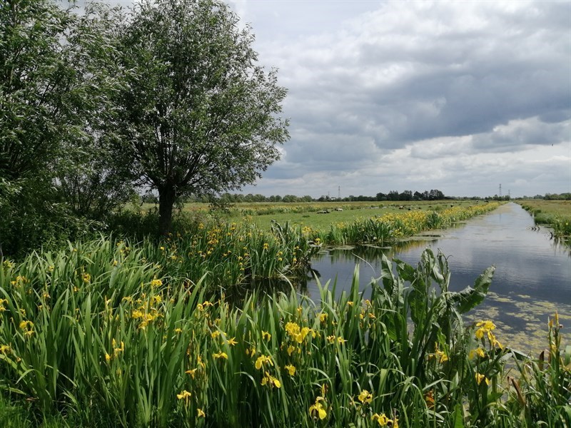 Rabo Krimpenerwaard