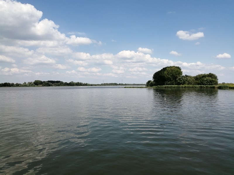 Biesbosch