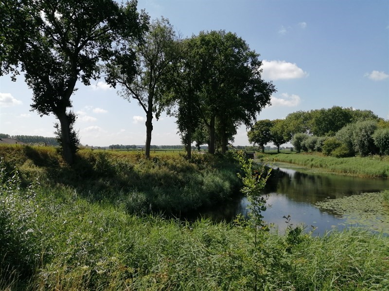 Biesbosch