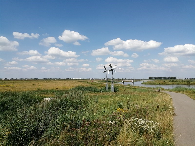 Biesbosch