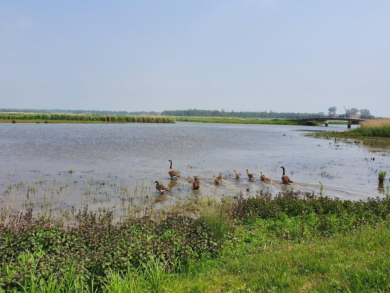 Biesboschtocht 2023