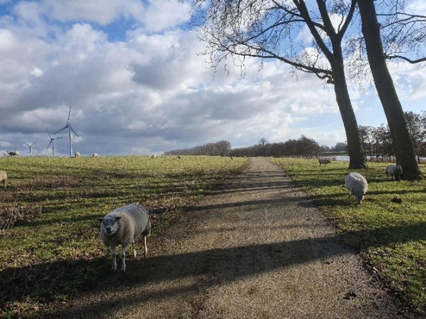 Oude-Maastocht 2026