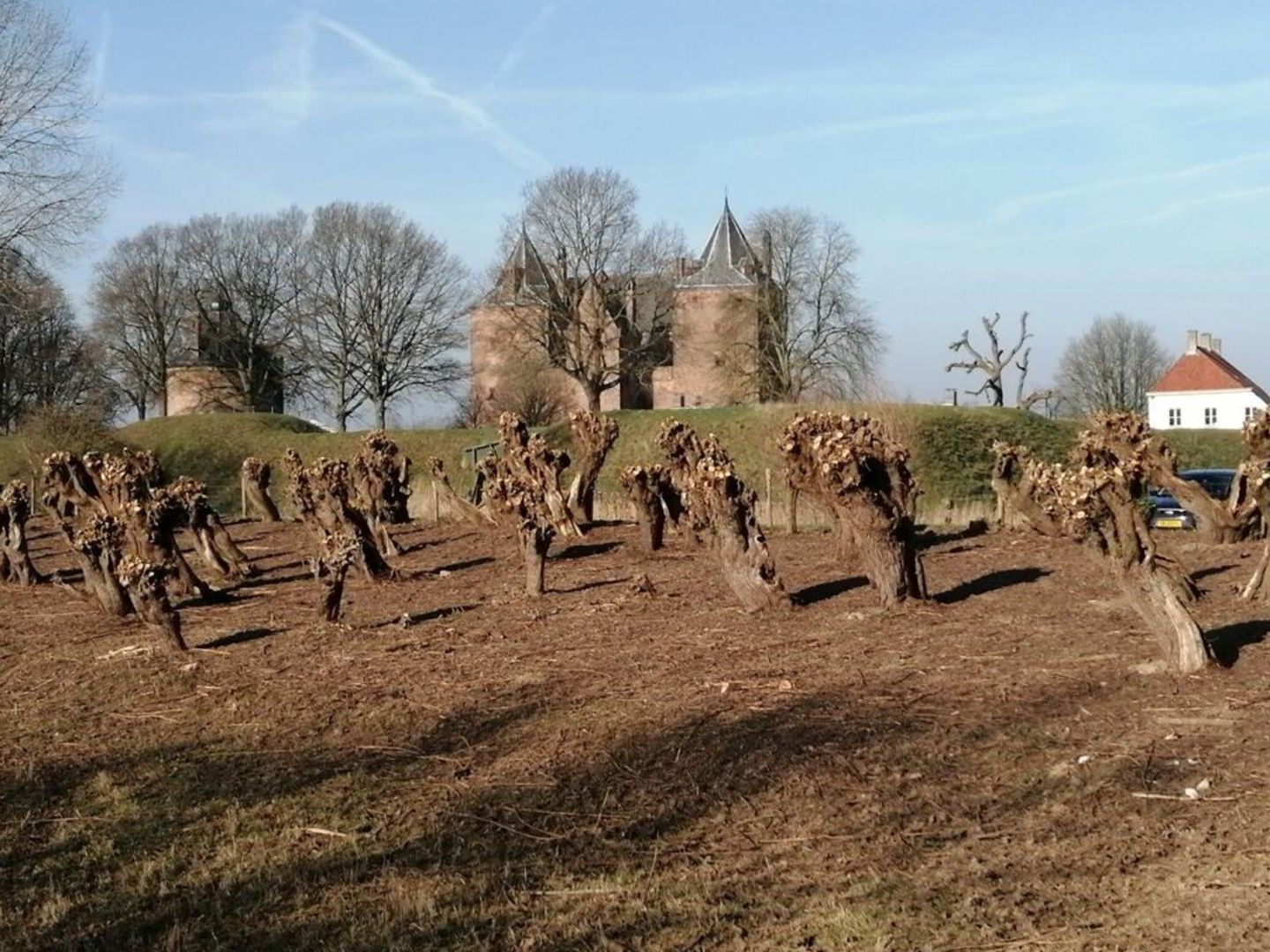 Biesboschtocht 2026