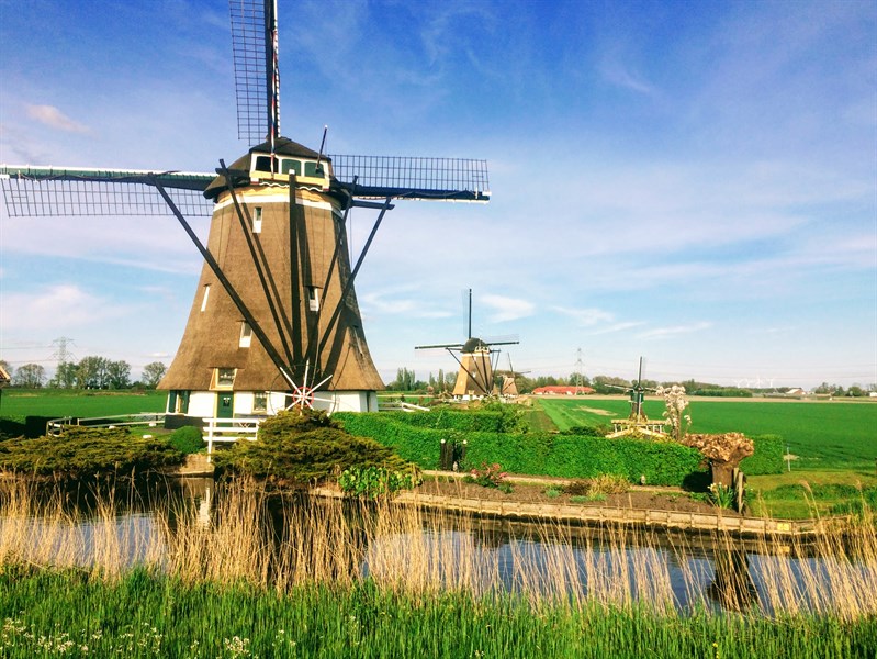 Omloop van Zoetermeer (50 km)