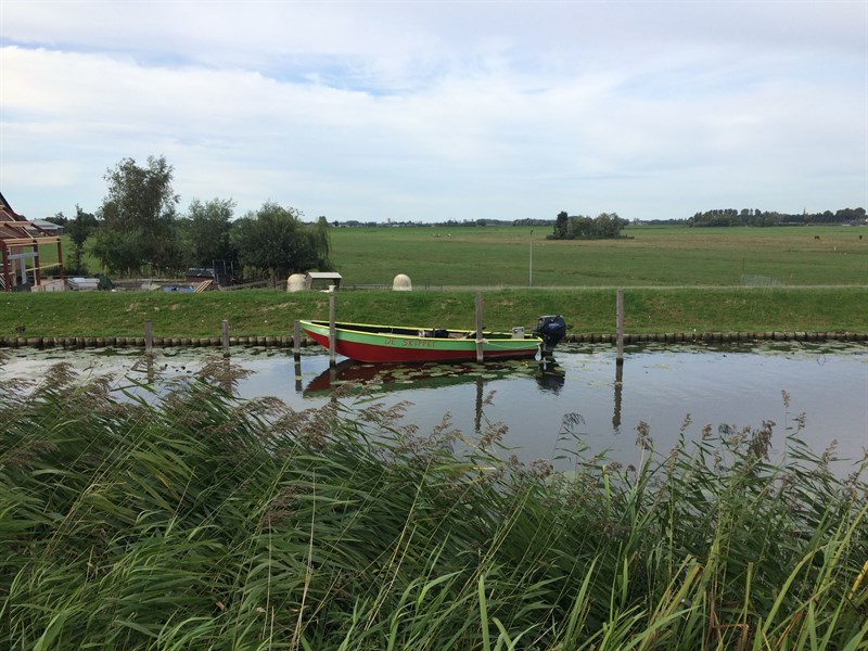 Omloop van Zoetermeer (50 km)