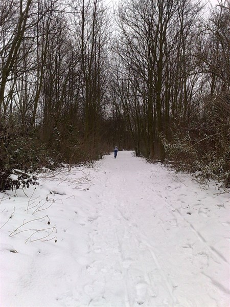 Oliebollentocht