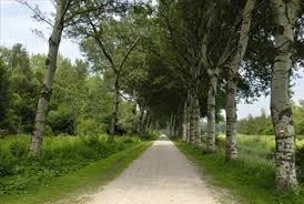 GeuzenGraveltocht 2023