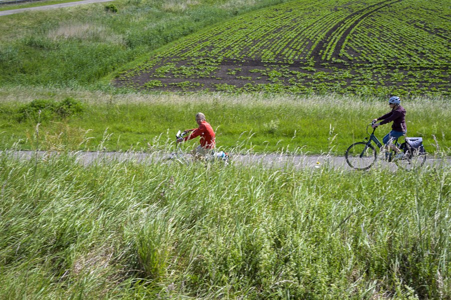 Fietsvierdaagse Rond Uit Dordrecht 2023