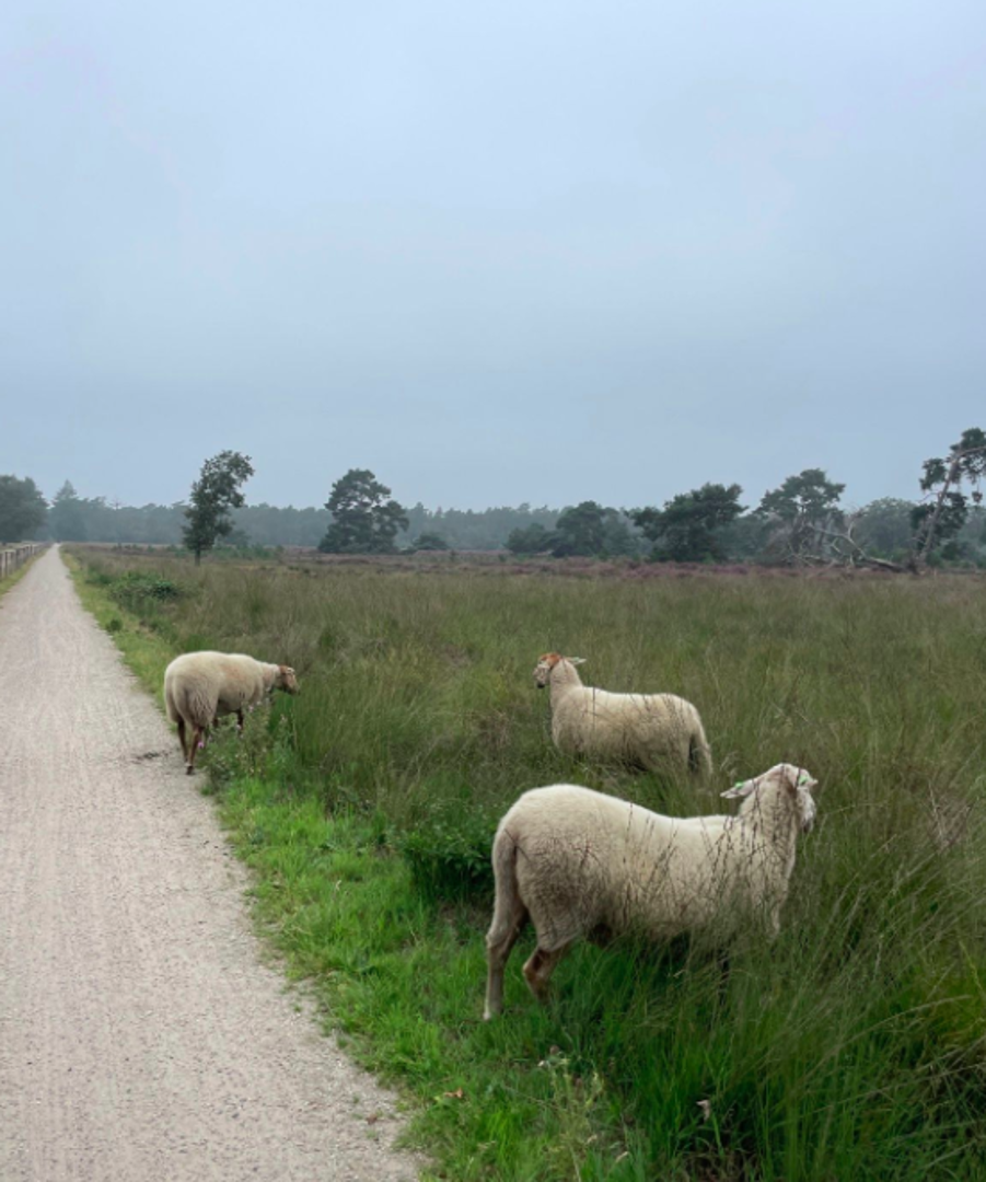 De Onverharde Mijl