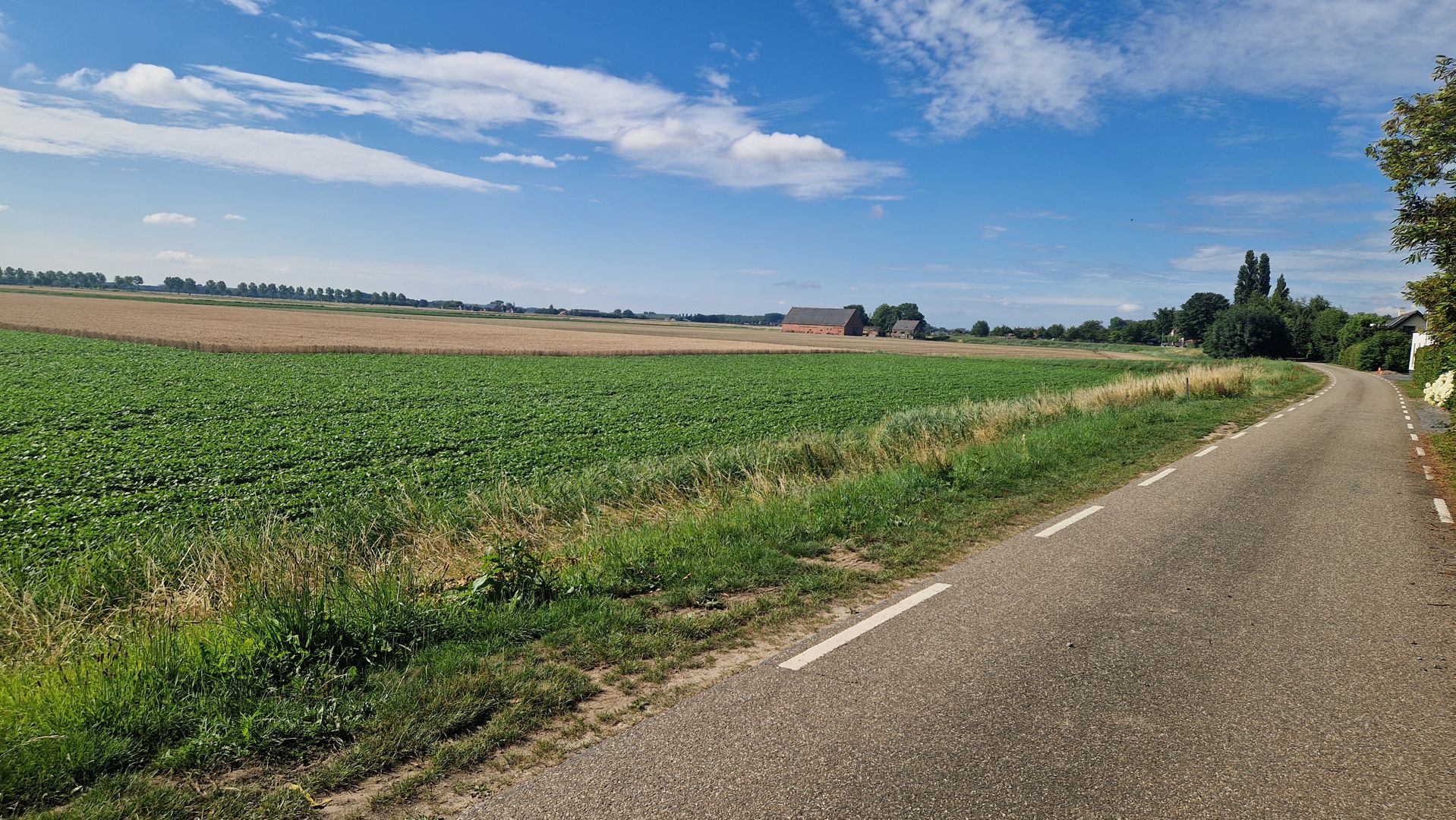 Westerscheldetocht