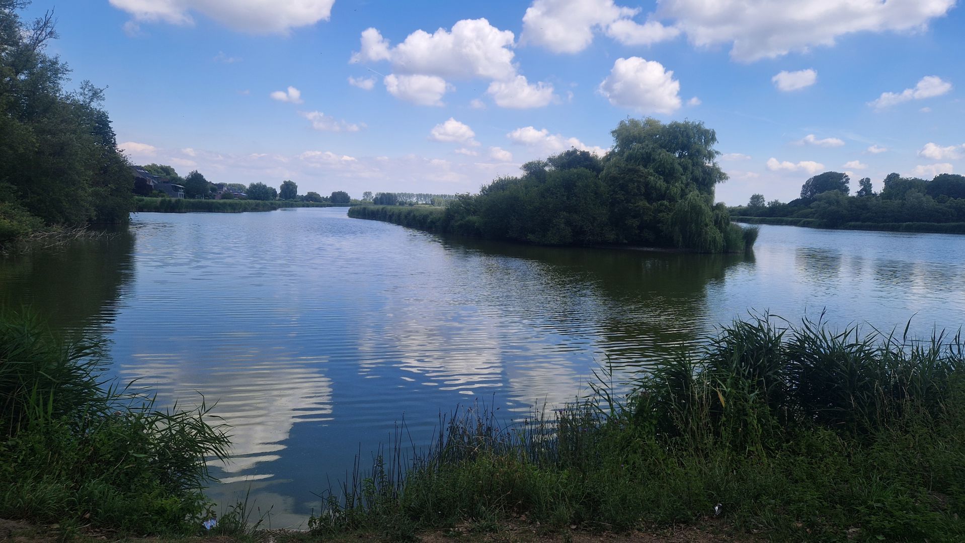 Westerscheldetocht