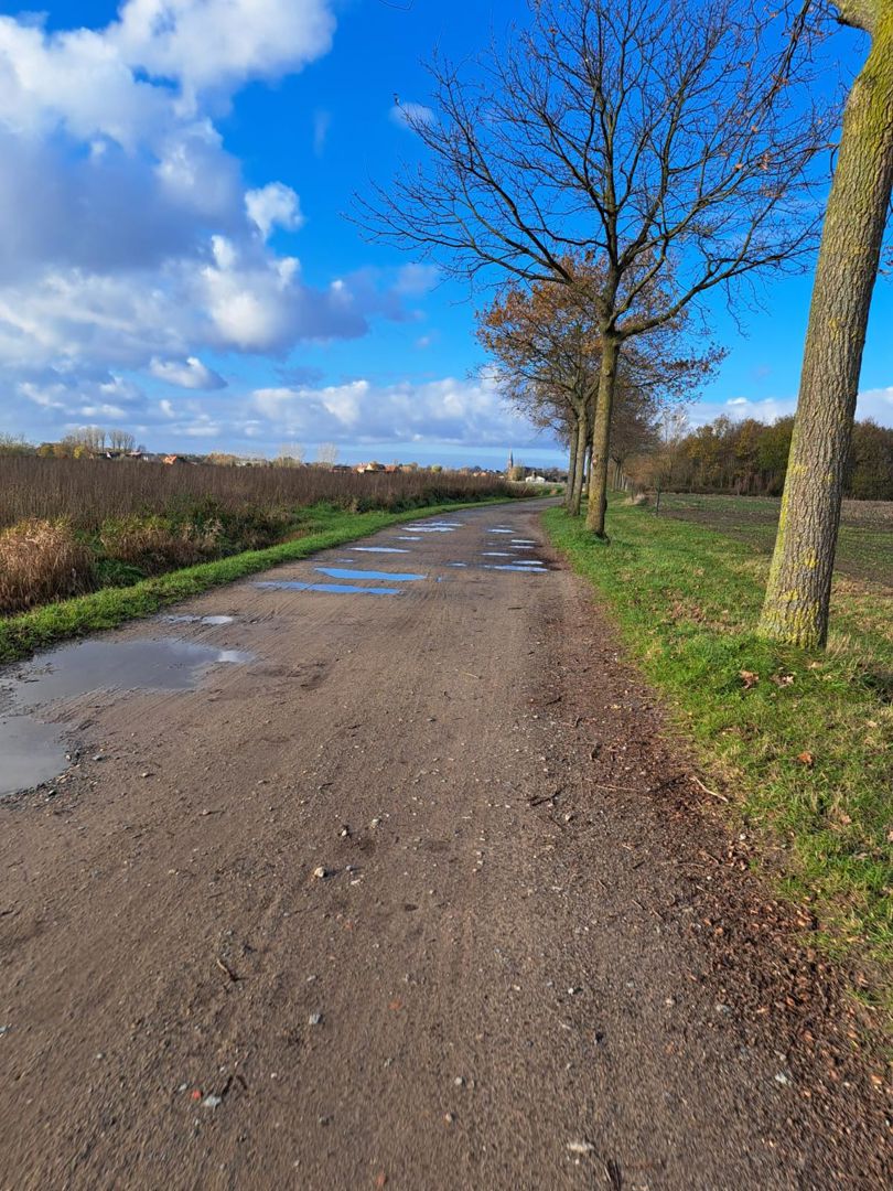 Wintergraveltocht TC Hulst