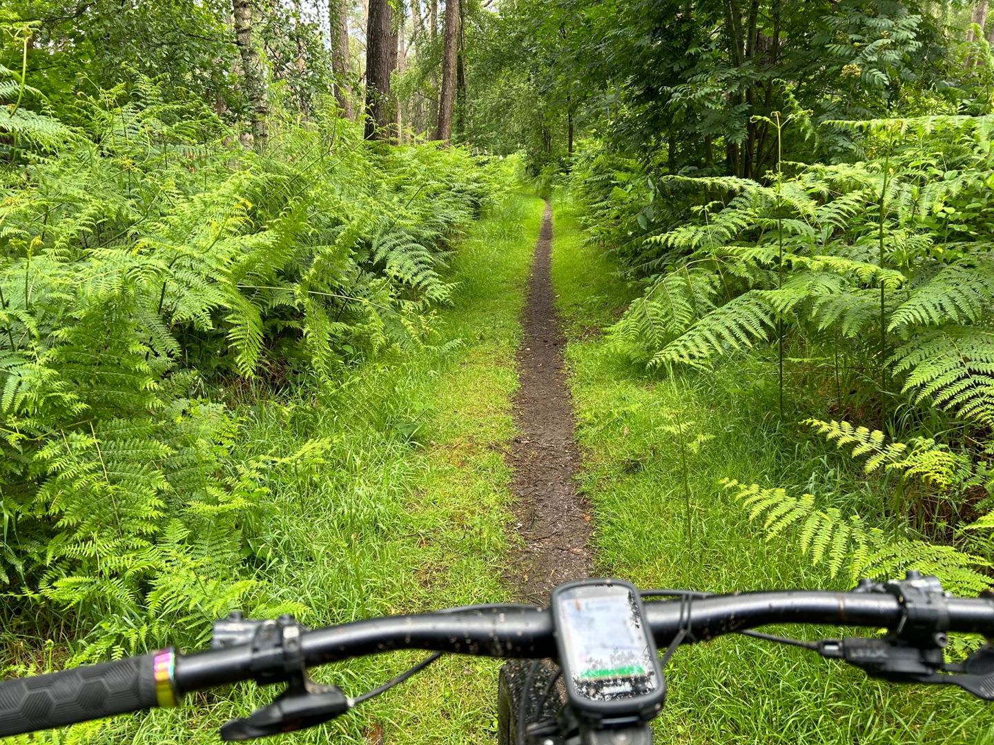 Graveltocht TC Hulst