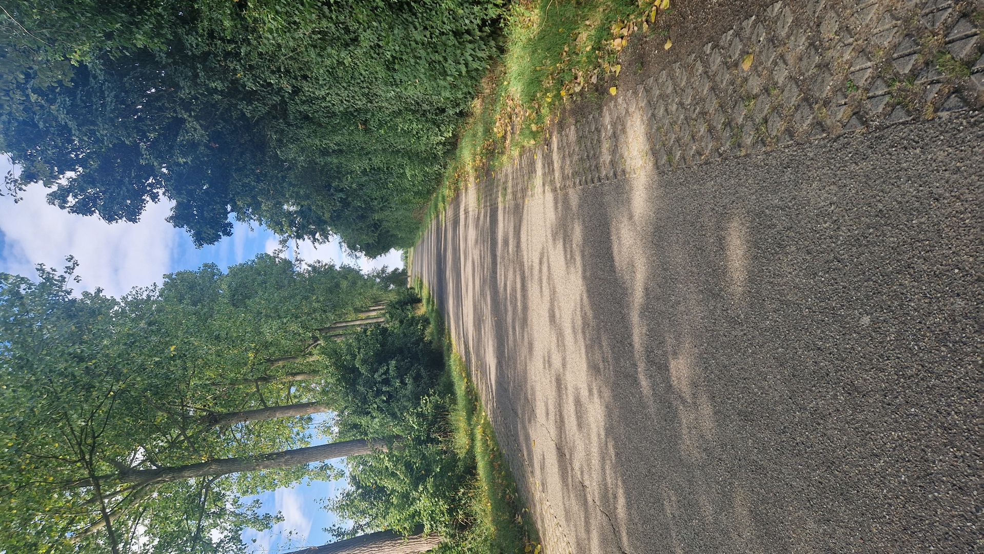 Westerscheldetocht