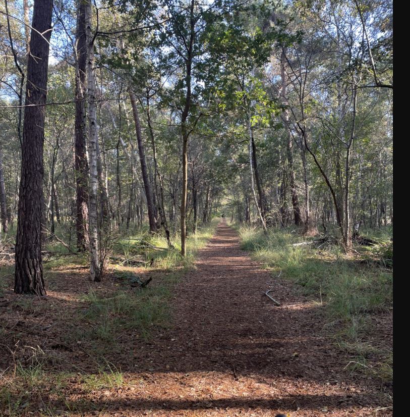 TC DSE Gravel Ride