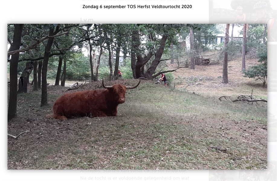 TOS Herfst Veldtourtocht 2021