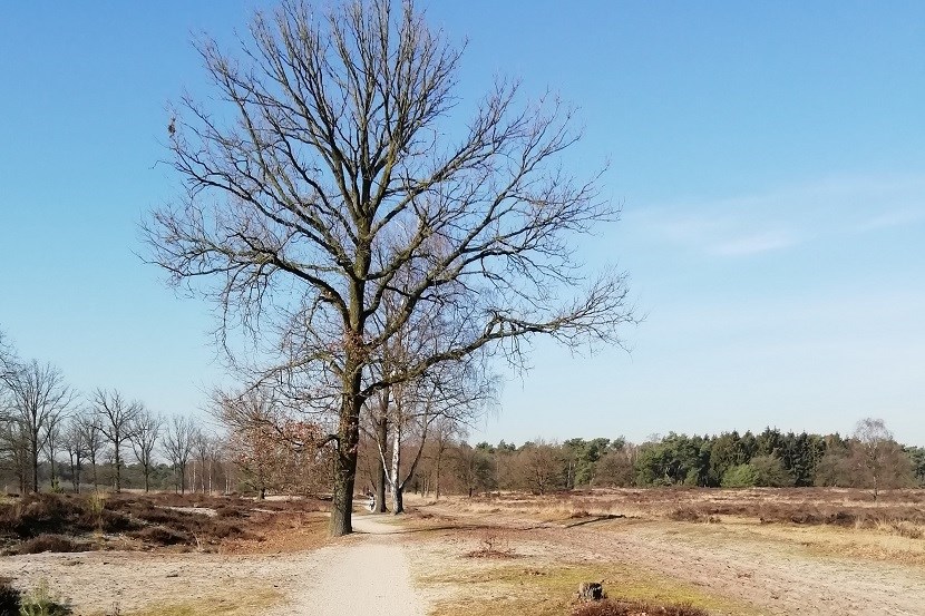 Strade Brabantia (GPS) 2023