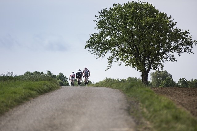 Brouwerijroute