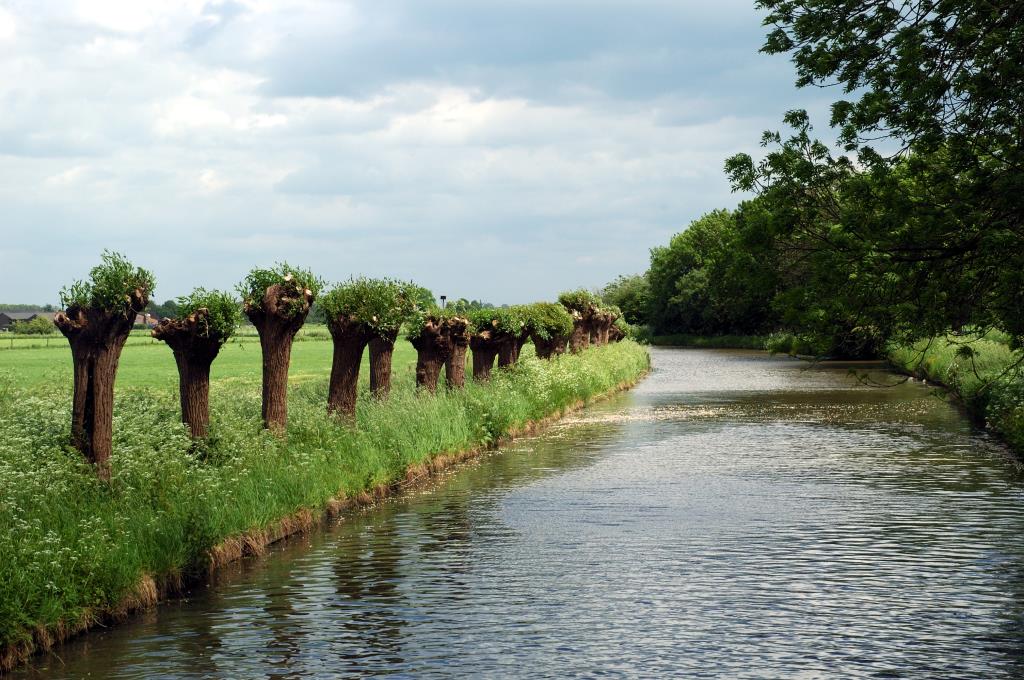 Riverday