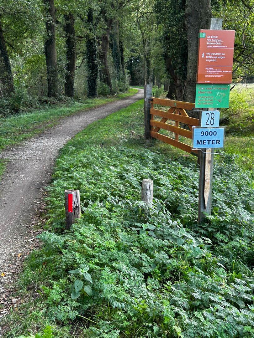 Brabantse Strade Bianche 2026