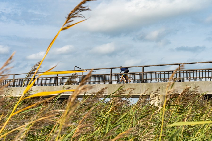 Rondje Biesbosch