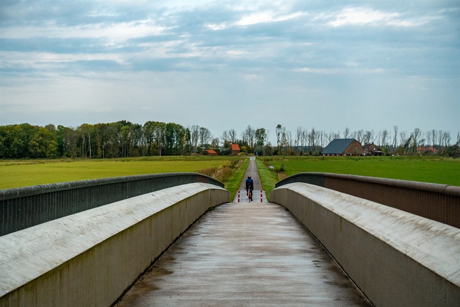 Rondje Biesbosch