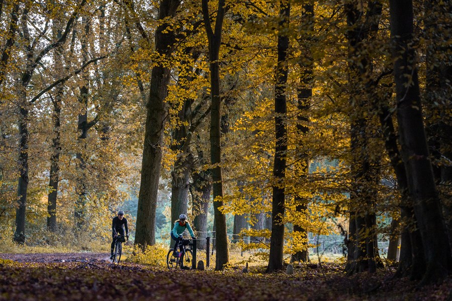 Golden Gravel Series 2022