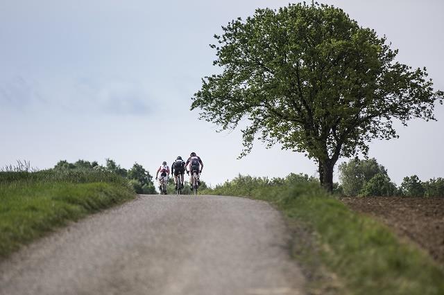 Hago Limburgs Mooiste Racefiets 2020