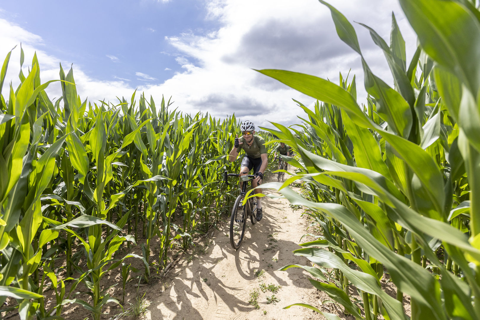 Vebego Limburgs Mooiste Gravel (build by SWETT)